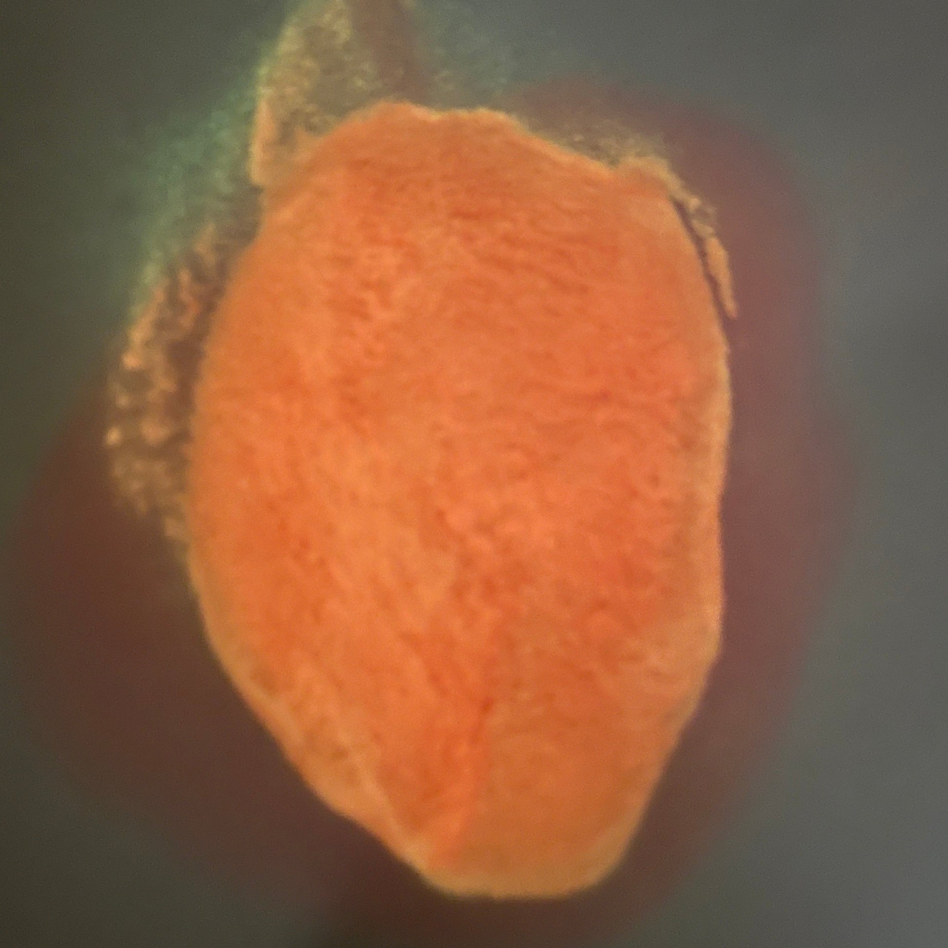 a pile of orange glow in the dark powder glowing on a black background