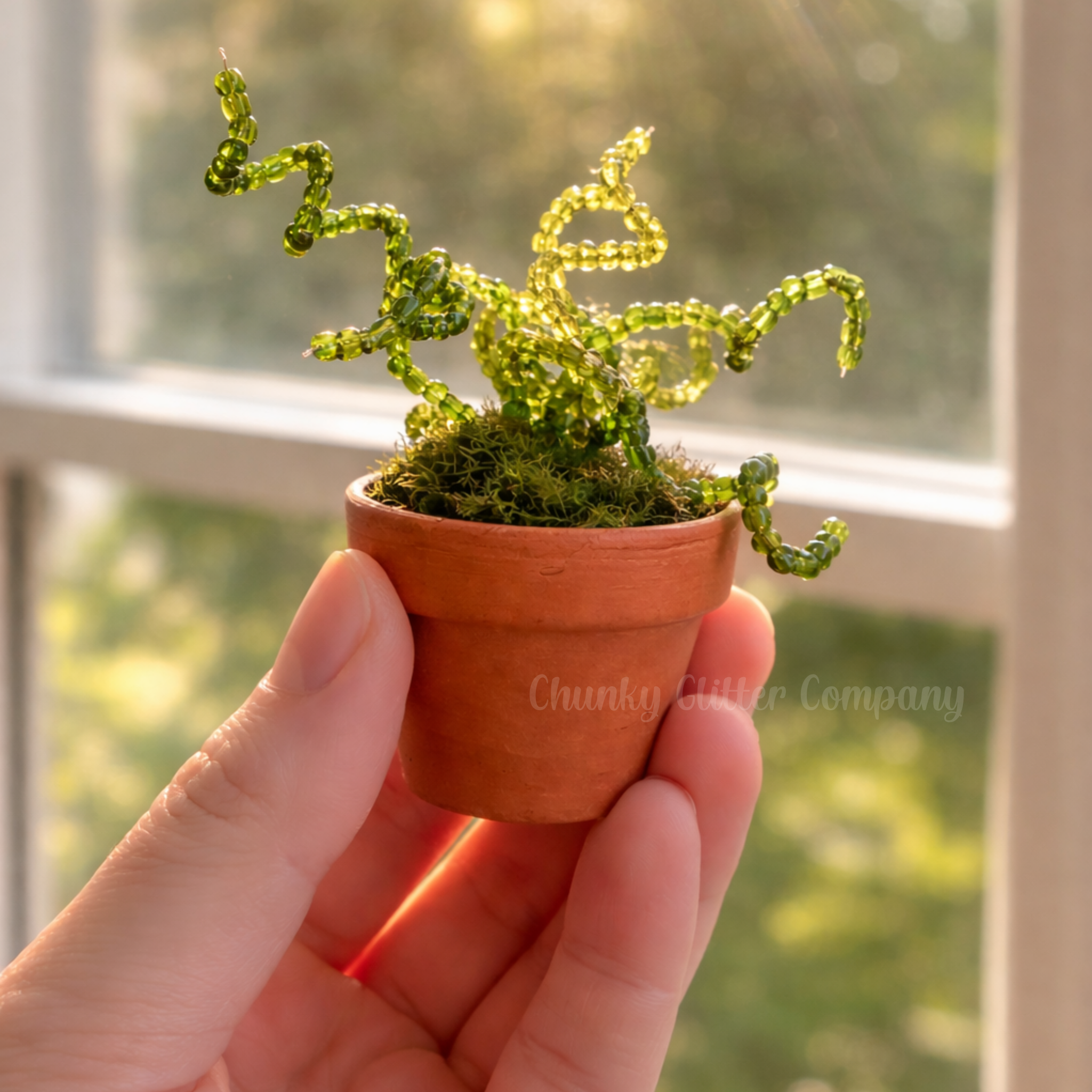 Hand holding a small terracotta pot with a decorative green beaded plant, blurred window in the background.