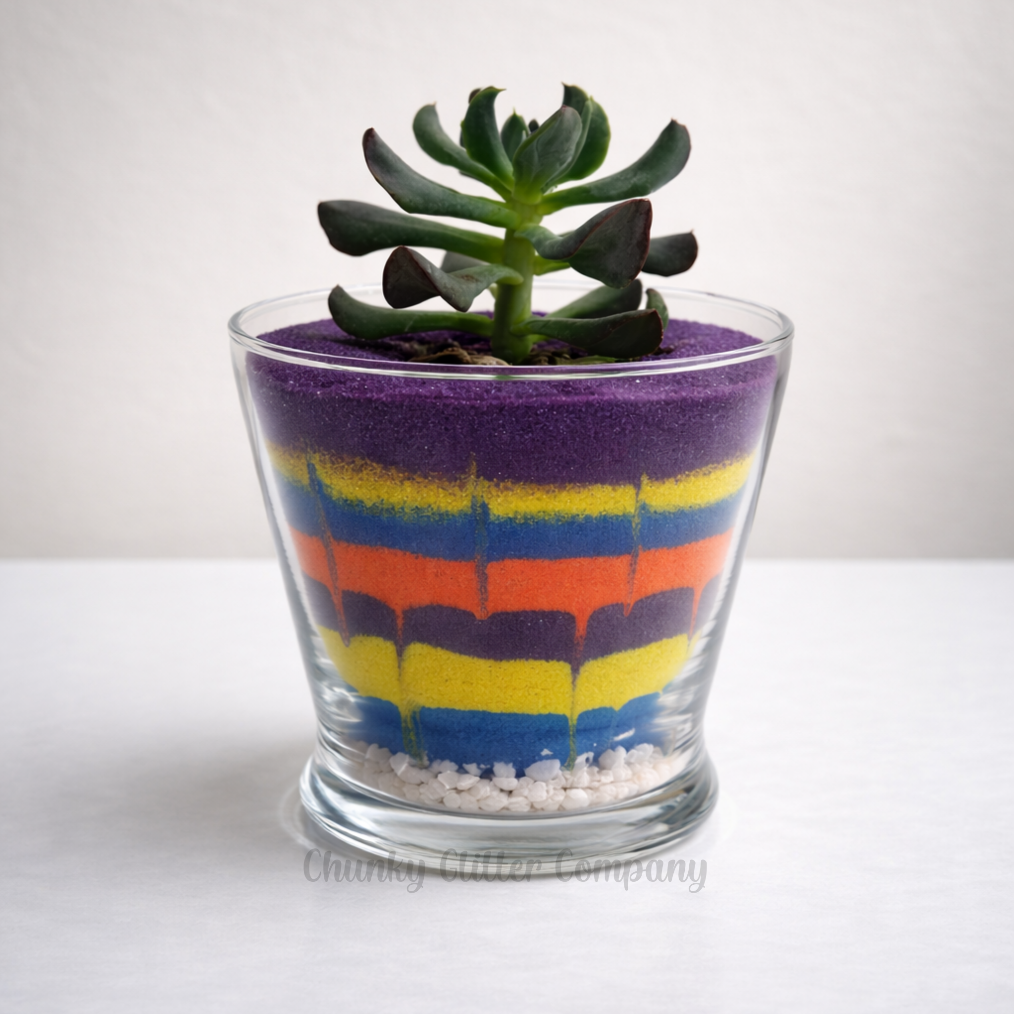 A terrarium with layered sand in various colours and a succulent.