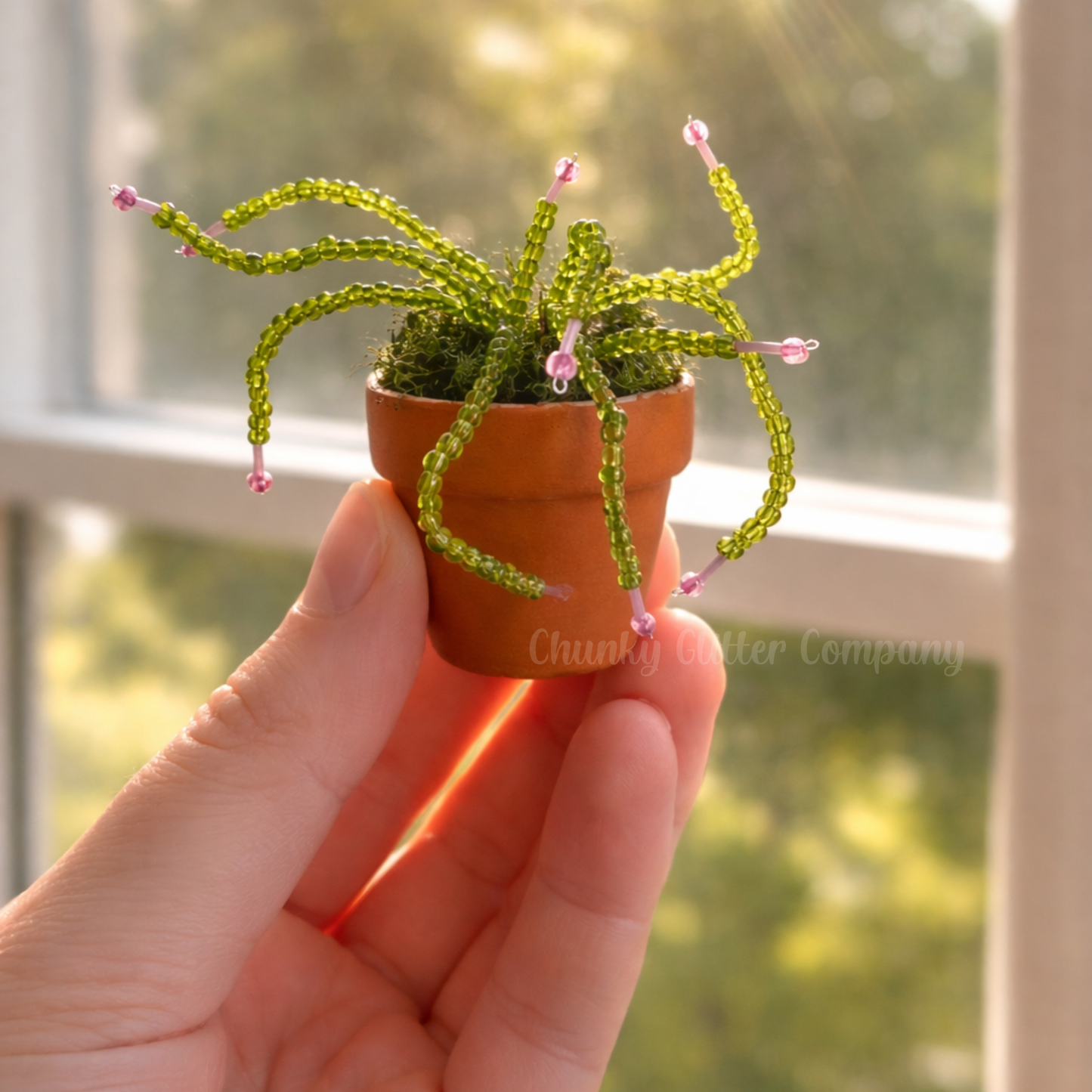 Hand holding a small potted plant with green beaded 'spider' on a blurred window background