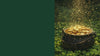 gold glitter falling on a pot of gold in a field of shamrocks with a green background